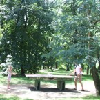table-ping-pong-nature-camping-famille-domaine-gil