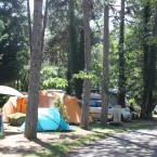 emplacements-tentes-soleil-arbres-domaine-gil-camping-aubenas
