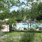 piscine-exterieure-bambous-palmiers-soleil-domaine-gil-camping
