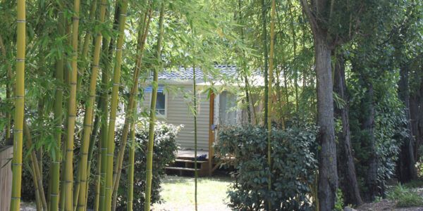 mobil-home-espace-bambous-domaine-gil Mobil-home - Espace bambous