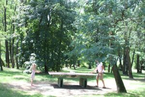 Table de ping-pong